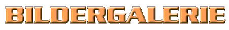BILDERGALERIE
